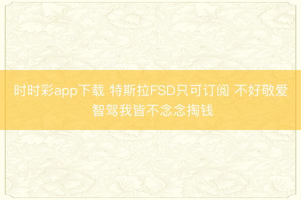 时时彩app下载 特斯拉FSD只可订阅 不好敬爱 智驾我皆不念念掏钱