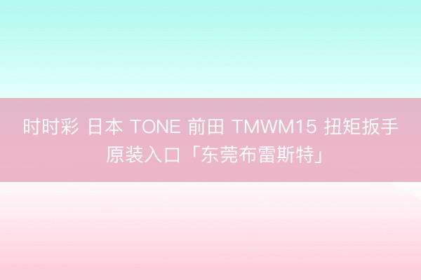 时时彩 日本 TONE 前田 TMWM15 扭矩扳手 原装入口「东莞布雷斯特」