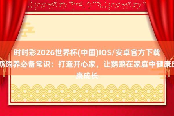 时时彩2026世界杯(中国)IOS/安卓官方下载 鹦鹉饲养必备常识：打造开心家，让鹦鹉在家庭中健康成长