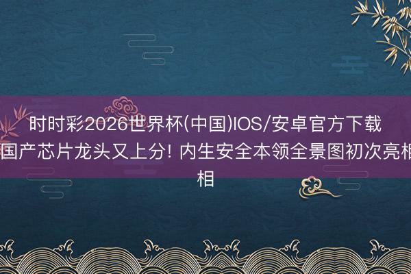 时时彩2026世界杯(中国)IOS/安卓官方下载 国产芯片龙头又上分! 内生安全本领全景图初次亮相