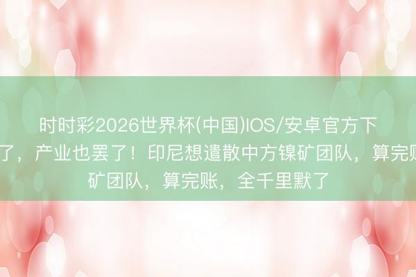 时时彩2026世界杯(中国)IOS/安卓官方下载 东说念主走了，产业也罢了！印尼想遣散中方镍矿团队，算完账，全千里默了