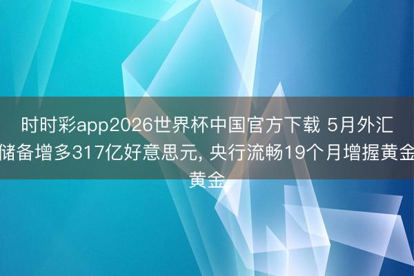 时时彩app2026世界杯中国官方下载 5月外汇储备增多317亿好意思元, 央行流畅19个月增握黄金